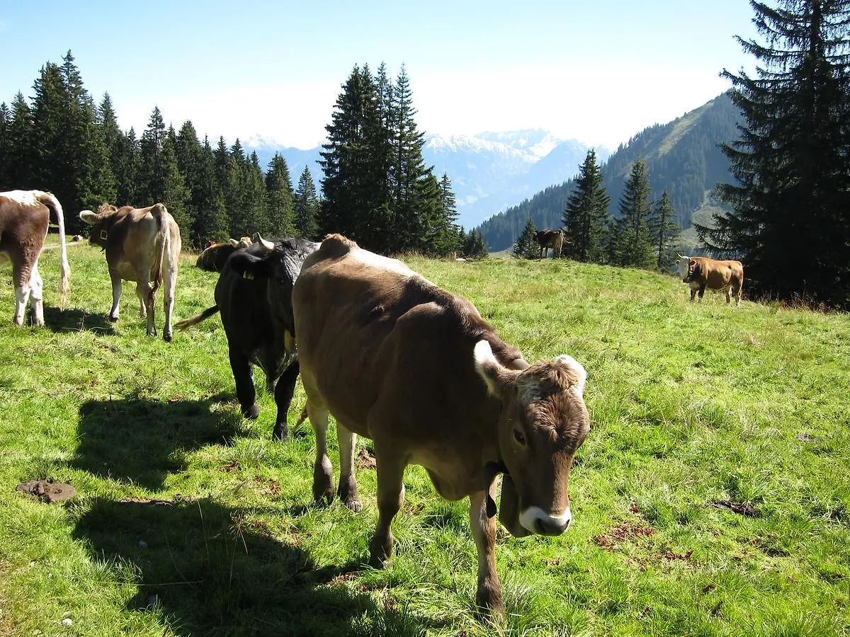 Landhaus Vogler Fischen im Allgaeu